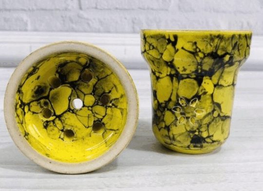 Solaris Eva – Yellow and Black - Image 1